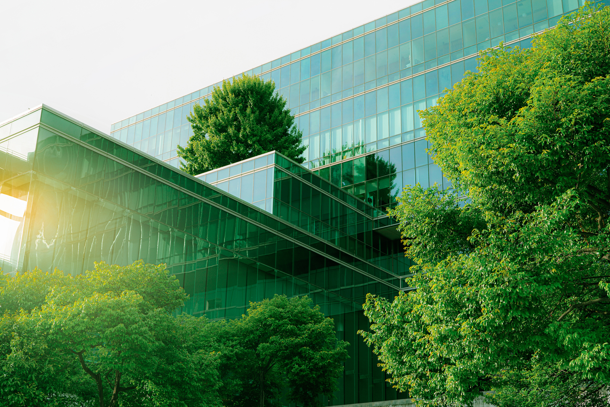 A building surrounded by greenery. Eco Friendly. Carbon Cloud : SAP BT Group