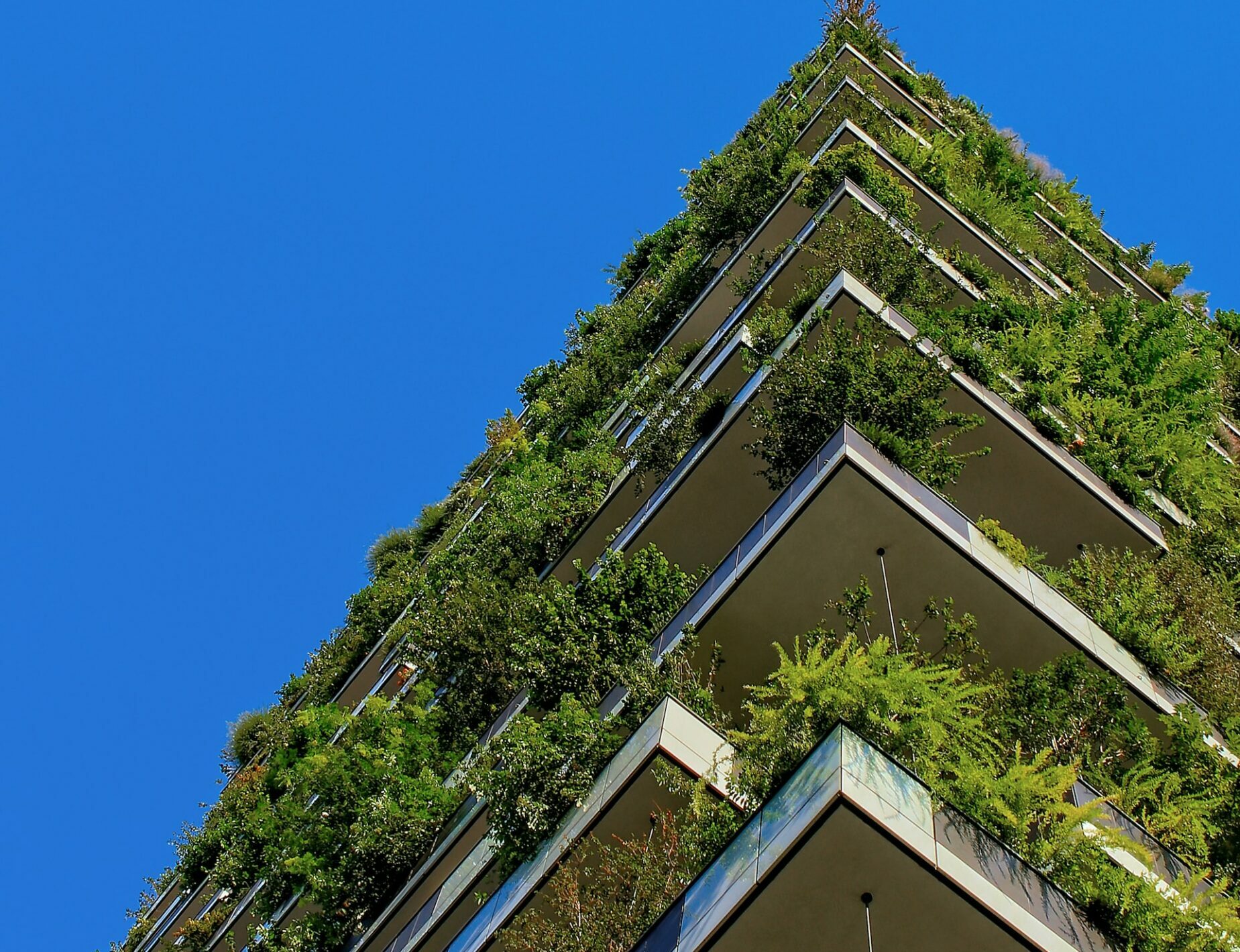image of 'green housing' a block of flats with flourishing green plants | HCLTech and Schneider Electric