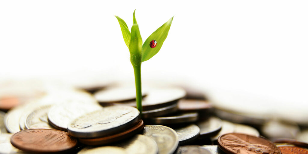 image of leaf growing from a pile of money | Oracle and IBM