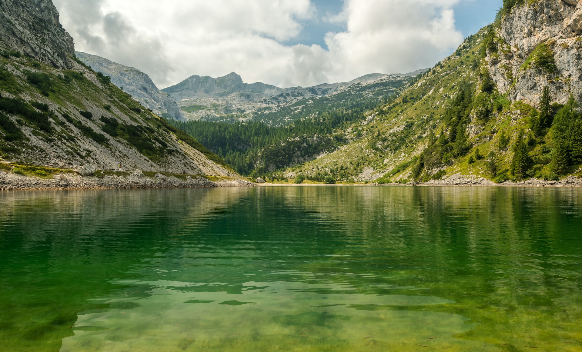 image of a green lake with mountains in the background | B2B IT-Partner