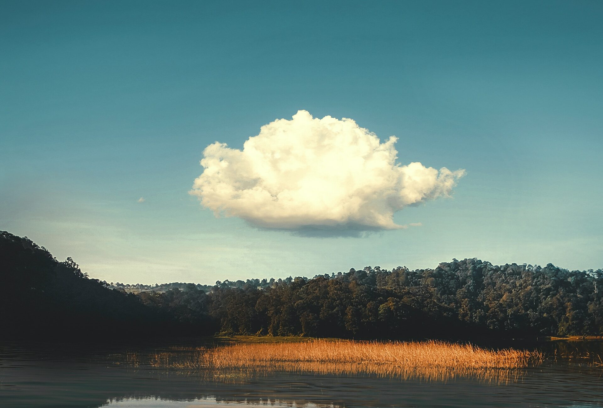 image of cloud over lake with blue skies and trees in background | Palo Alto Networks
