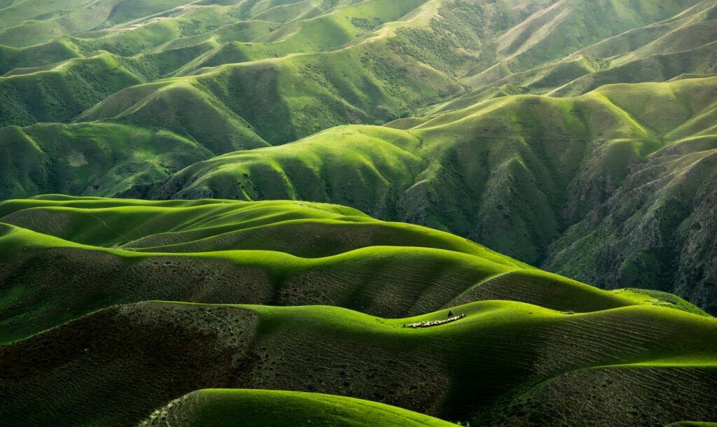 image of aerial view of green rolling hills | geospatial AI