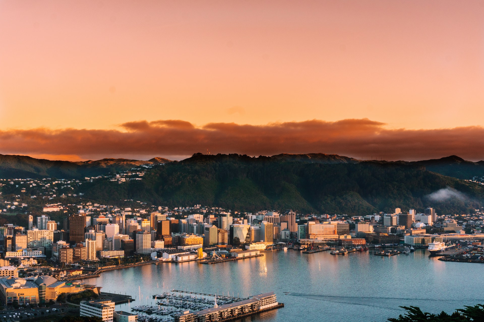 Image of Wellington, new Zealand | Accenture and Solnet