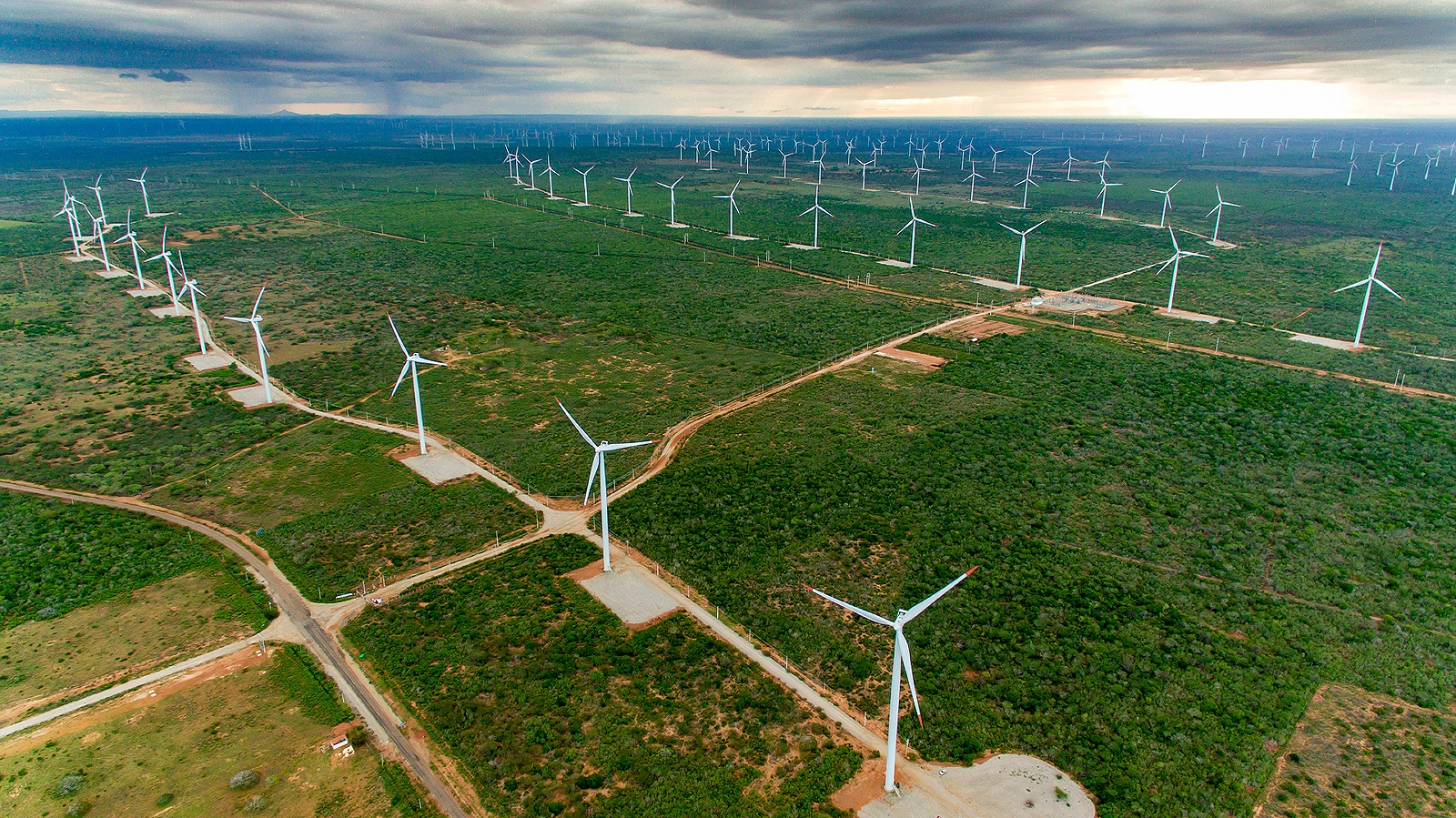 a field of wind turbines