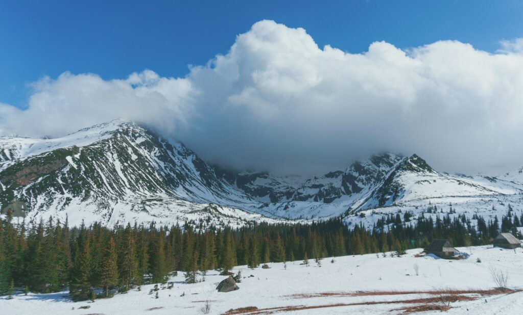 image of mountain in clouds with pine forest in foreground | IBM and SAP