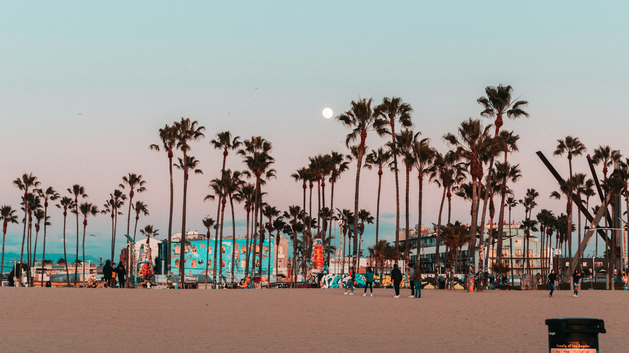 image of ta Monica beach with palm trees in the evening | Santa Monica and NewRocket