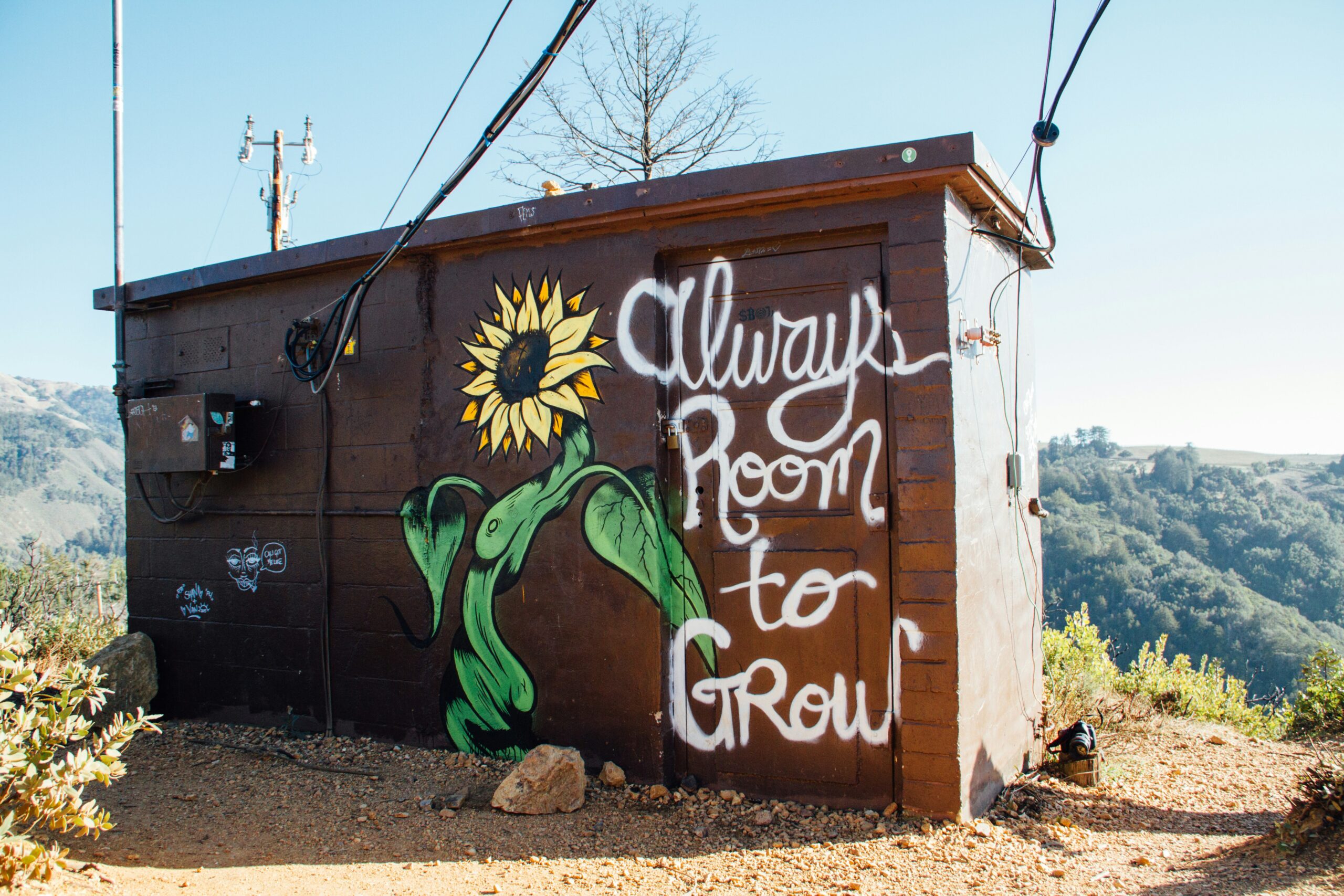 flower paining on a wooden building | The post-pandemic evolution of learning and development