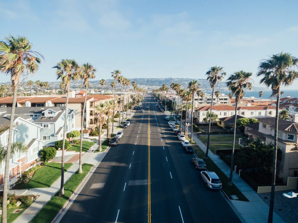 California road with palms